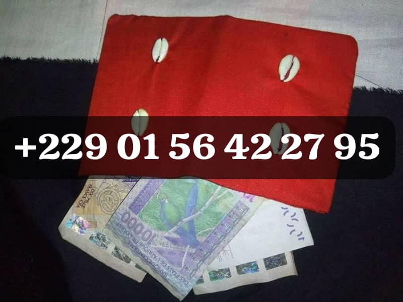 COMMENT AVOIR UN VRAI PORTEFEUILLE MAGIQUE +229 01 56 42 27 95