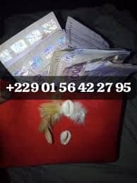 Multiplication d'argent +229 01 56 42 27 95