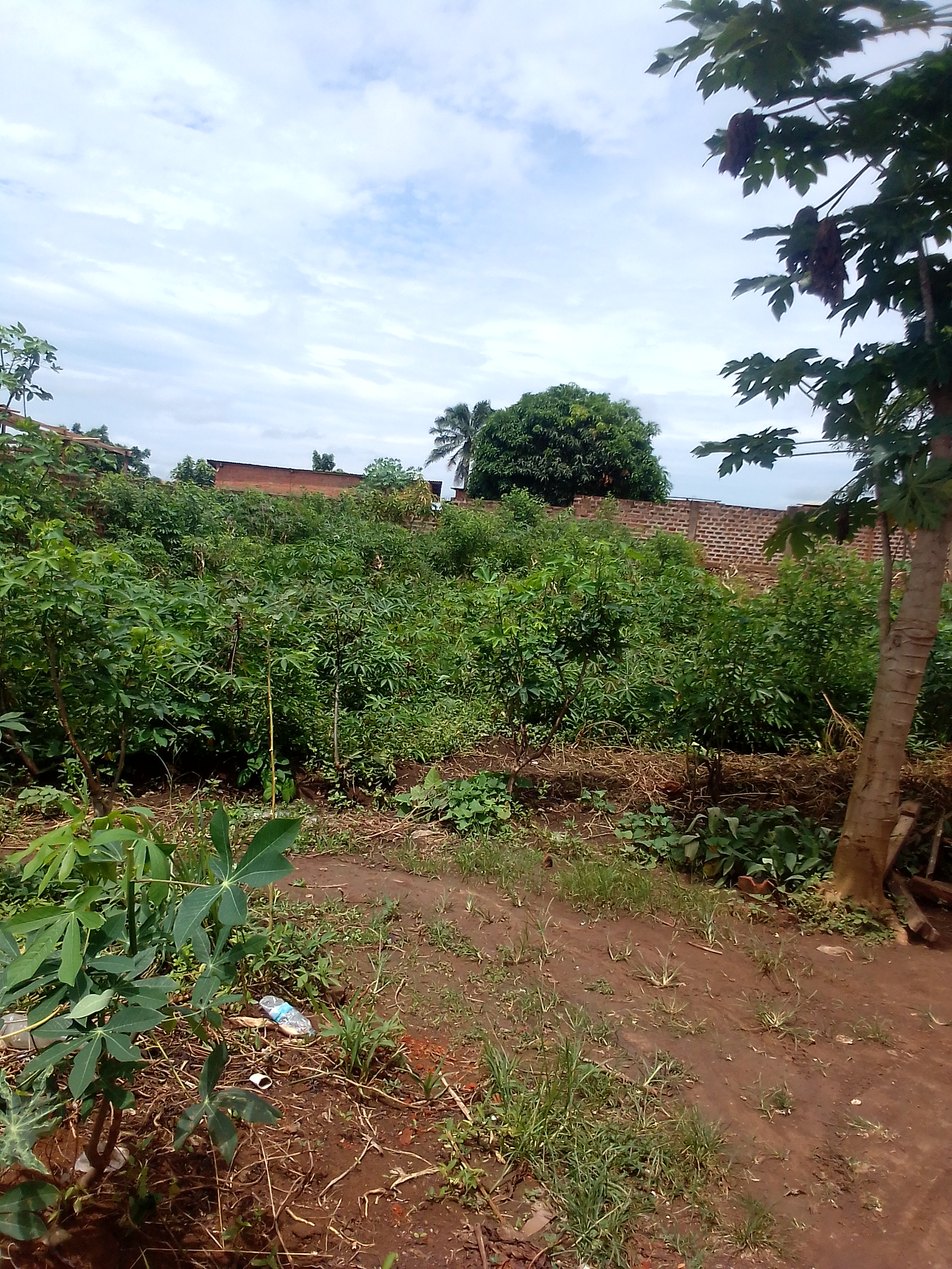 Vente d'une parcelle à lufu en Democratic Republic of the Congo 