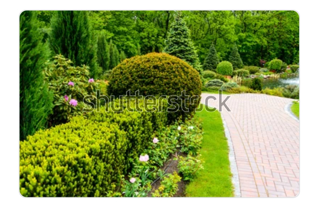 Photo2
