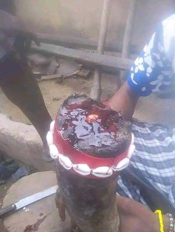 maitrespirituelsakika