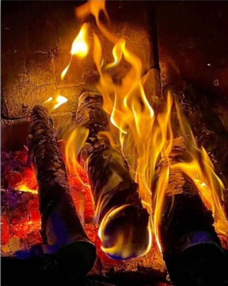 Bois de chauffage de quanlité 