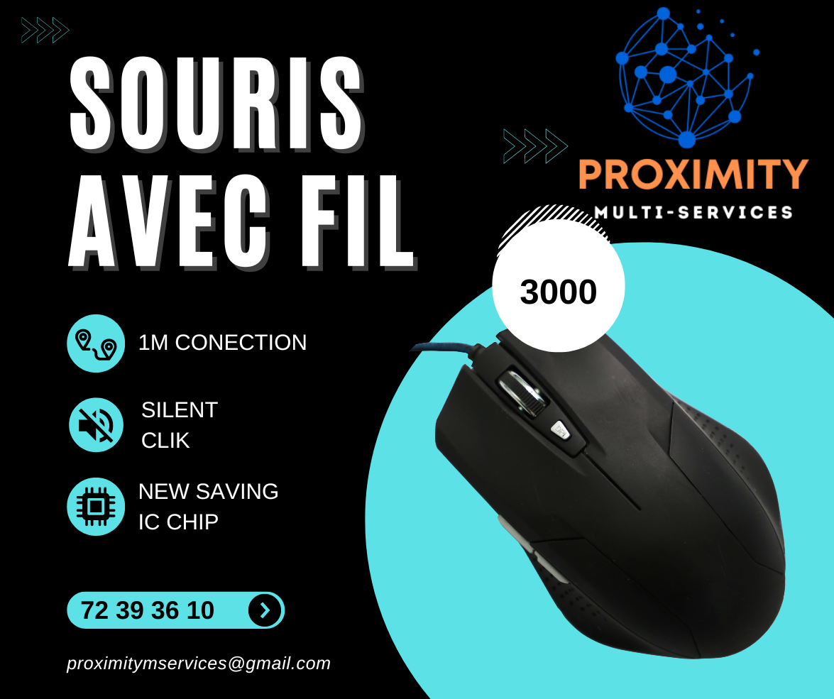 souris filaire