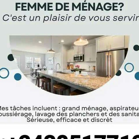 LE MENAGER SERVICE DE MENAGE en Democratic Republic of the Congo 